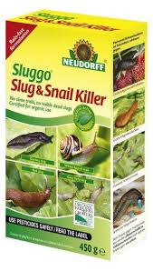 get rid of slugs in the house