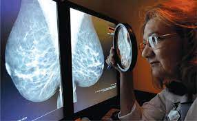 Brawling Over Mammography | Science