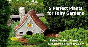 A Fairy Garden With These 5 Plants