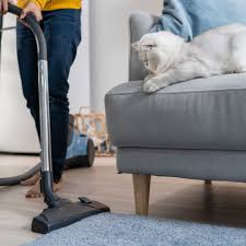9 best hoovers for pet hair 2023