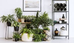 indoor plant stand ideas to elevate