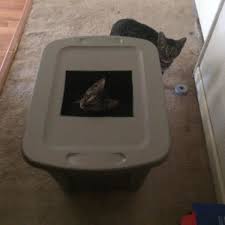 build a diy top entry cat litter box