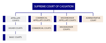 Organizational Structure Of The Courts Supreme Court Of