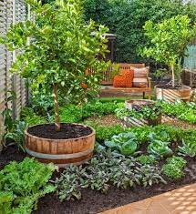How To Make An Attractive Edible Garden