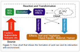 Mechanisms And Effects Of Acid Rain On Environment