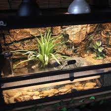 Turtle Tank Kit With Wire Mesh Lid Basking Platform Background Filter Light Hood Rainforest Vivarium For Salamander Tree Frog Terrariums Aliexpress