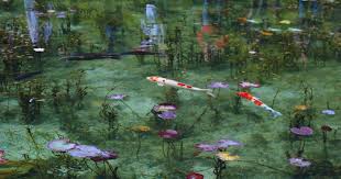 monet s pond gifu attractions an