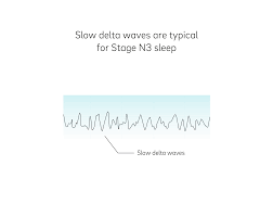 Stages Of Sleep The Definitive Guide Oura Ring