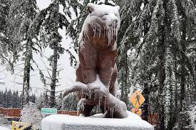 tahoma board approves snow day