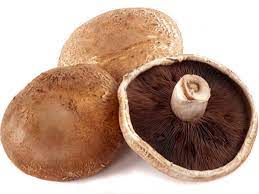 portobello mushrooms nutrition facts