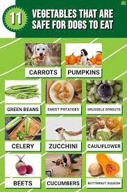 11 Vegetables That Are Safe For Dogs To