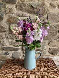 Can you send flowers by royal mail. Scented Stocks Cornish Blooms