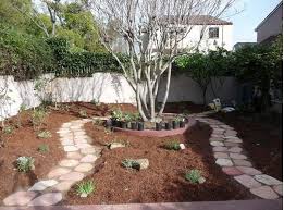 Los Angeles Native Plant Garden Example