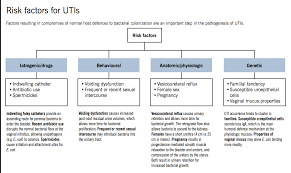 Urinary Tract Infection Uti Mcmaster Pathophysiology Review