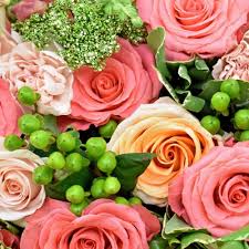 Colour is one of the most noticeable attributes of the world around us. Wholesale Flowers By Color Blooms By The Box