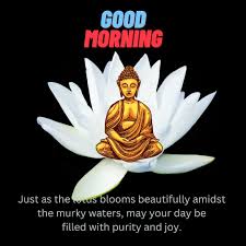 good morning buddha es