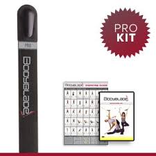 Bodyblade Pro Exercise Kit With Dvd And Wall Chart