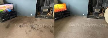 carpet cleaner south auckland