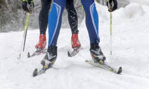 The 5 Best Cross Country Skis Reviewed For 2019 2020