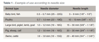 Use Of Injection Syringes In The Animal Production Industry