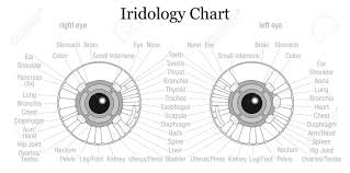 Iris Diagnostic Or Iridology Chart With Accurate Description