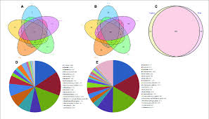 Venn Diagram And Pie Charts The Venn Diagrams Show The