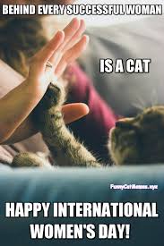 You can sleep all over that bed of yours. Happy International Women S Day Funny Cat Meme