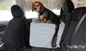 10 Best Dog Car Seat Brands Updated 2023
