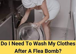 to wash my clothes after a flea