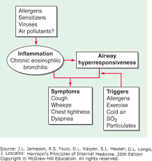 Asthma Harrisons Principles Of Internal Medicine 20e