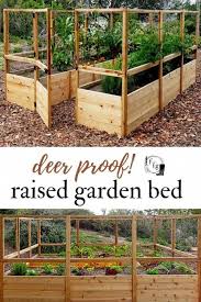 diy raised vegetable garden ideas