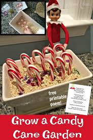 Use this printable file around christmas. Fun Elf Idea Magic Candy Cane Christmas Garden Free Printable Poem Mama Cheaps