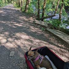 dog friendly trails in cleveland tn