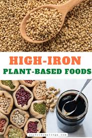 top 11 plant based foods high in iron