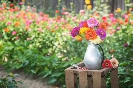 Fall Flowers Extend The Season In Your