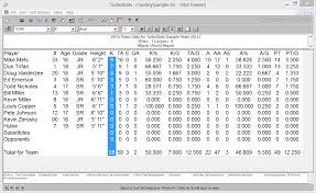 Volleyball Stat Sheet Kozen Jasonkellyphoto Co