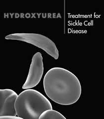 Image result for 1995 - Researchers from the U.S. National Institutes of Health announced that clinical trials had demonstrated the effectiveness of the first preventative treatment for sickle cell anemia.