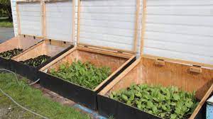 build cold frames for your garden