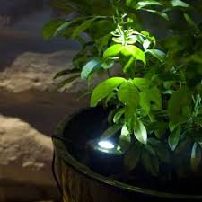 If not, you'll have dim lights that need their batteries replaced every couple months. The Real Truth About Solar Lights Lights4fun Co Uk