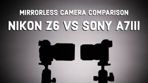 Nikon Z6 Vs Sony A7iii 2019 Mirrorless Camera Comparison