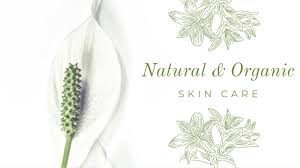 natural vs organic skin care s