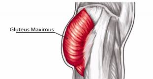 Squats And Hip Dysfunction 2 Common Problems And How To Fix