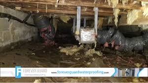 crawl space cleaning in knoxville tn