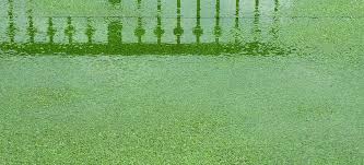 Artificial Grass Drainage Problems And