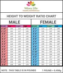 Height To Weight Ration Chart Lamasa Jasonkellyphoto Co