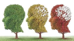 Diferencias entre: Envejecimiento normal, Deterioro Cognitivo Leve y  Demencia. – Psicología – Neuropsicología