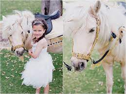 Check spelling or type a new query. Kara S Party Ideas Rustic Fairies Unicorns Birthday Party Kara S Party Ideas