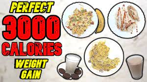3000 calorie meal plan for weight gain