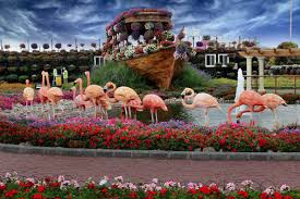 dubai miracle garden the best place