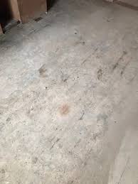plaster dust from wooden floorboards